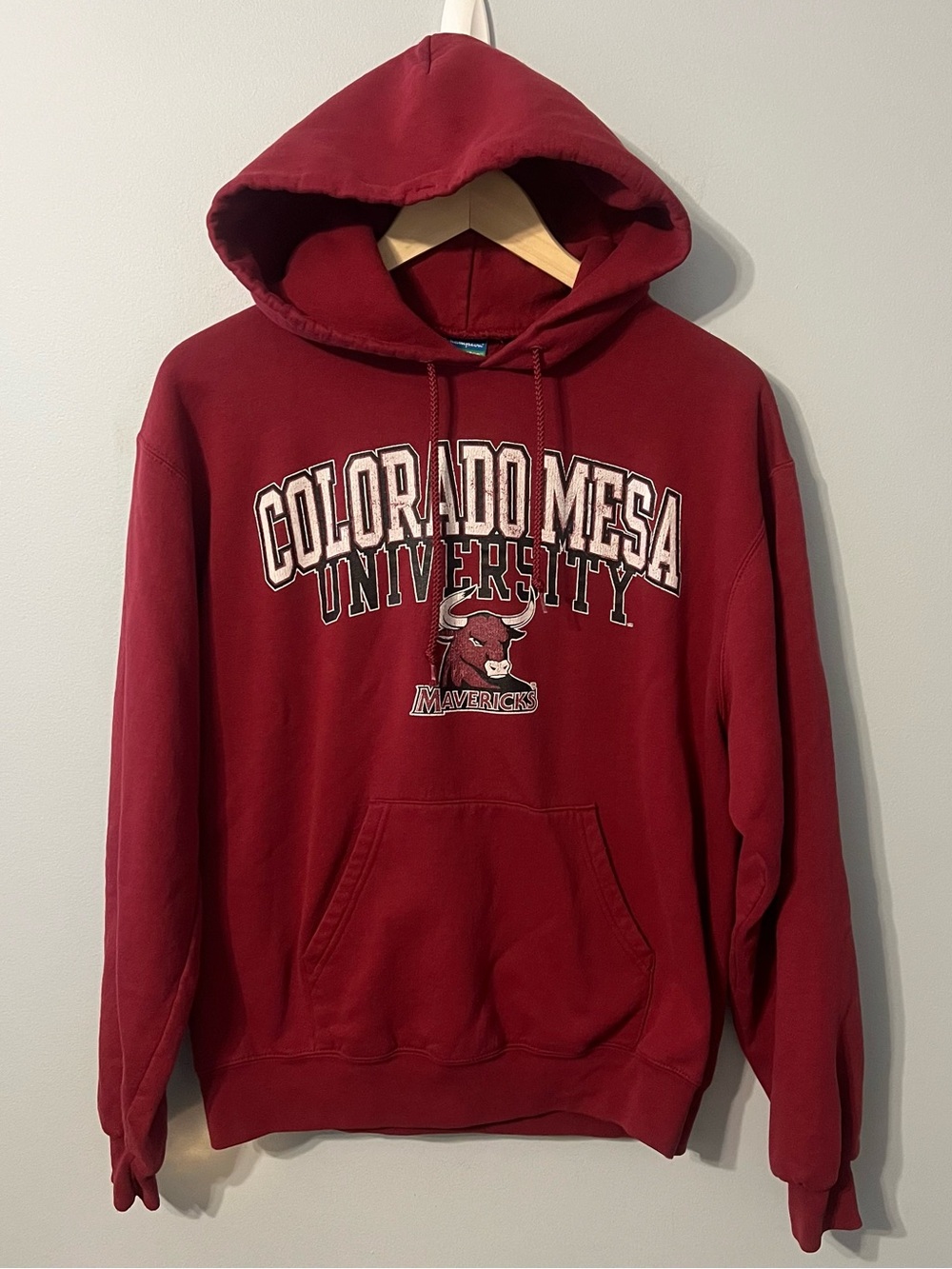 Colorado Mesa University Mavericks Hoodie Men’s M Maroon Sweatshirt Champion ECO